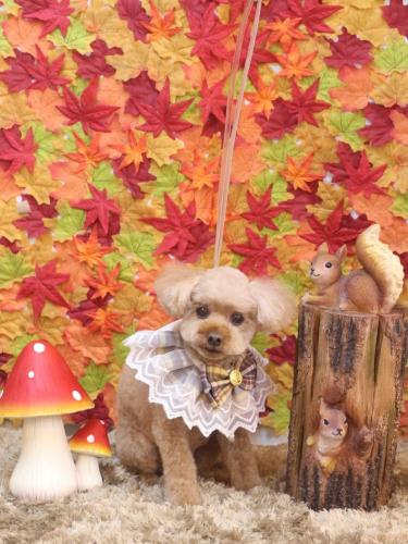 20241103そらくん